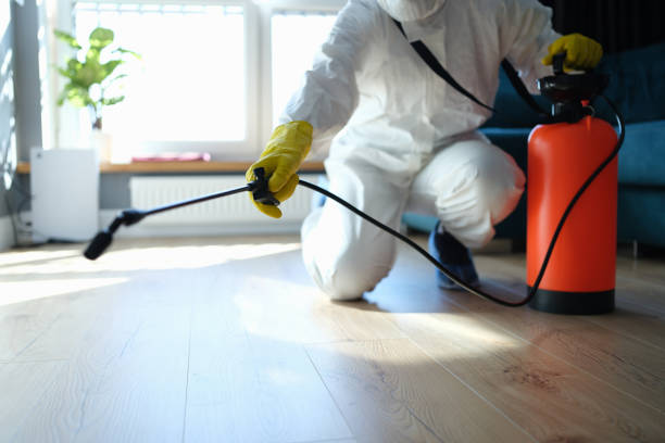 Reliable Odor Removal contractor in Boron, CA by Crime Scene Cleaner Online